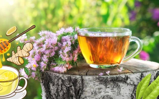 Tea for hormone balance