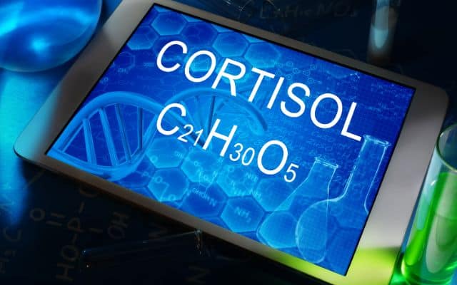 stress and cortisol 2