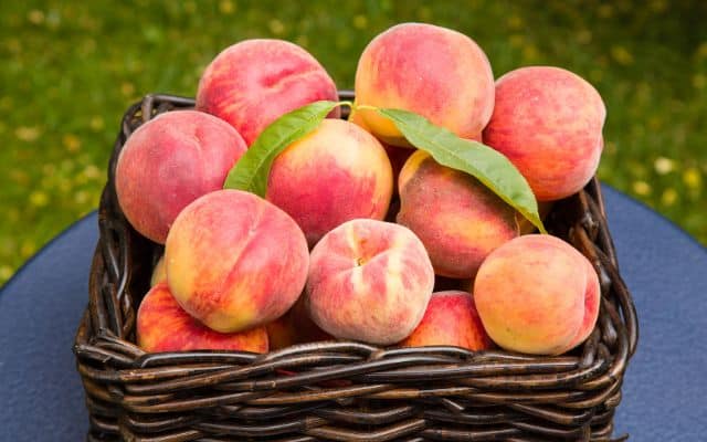 Best food for estrogen balance 3