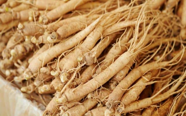 Best herbal supplements for energy