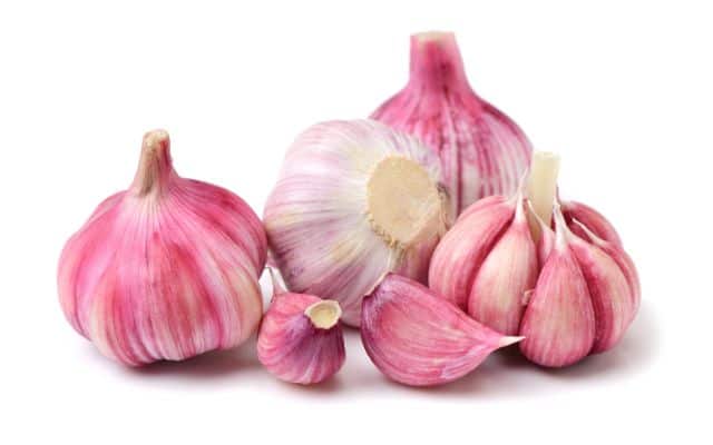 Collagen rich vegan foods