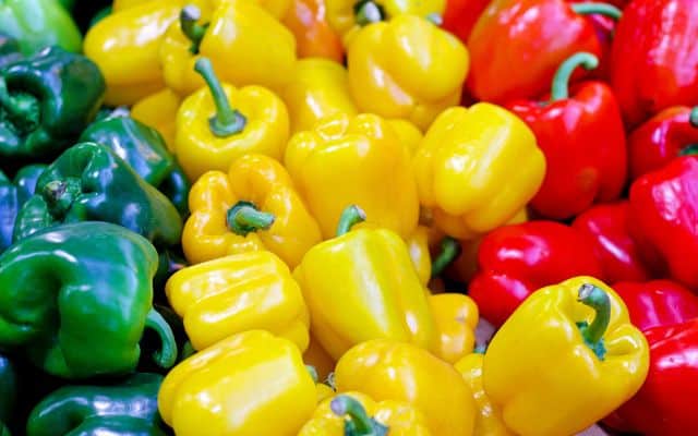 Collagen rich vegan foods