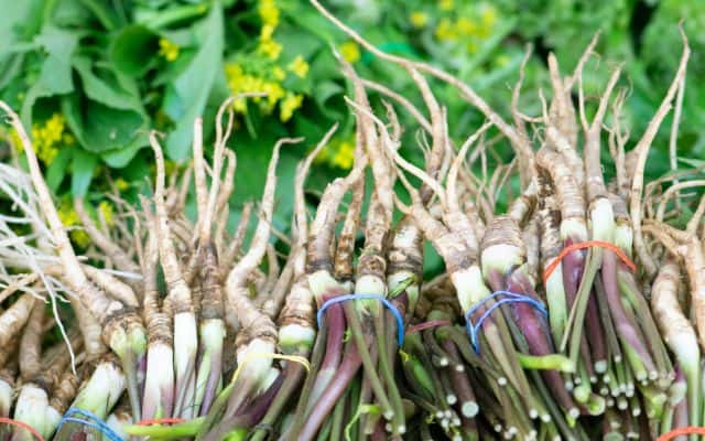 Supplements for low estrogen