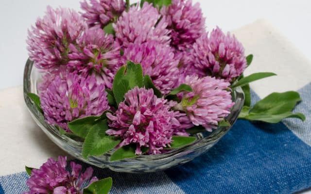 best supplements for low estrogen 4