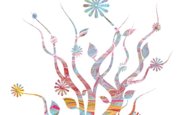 how to get off your comfort zone 7