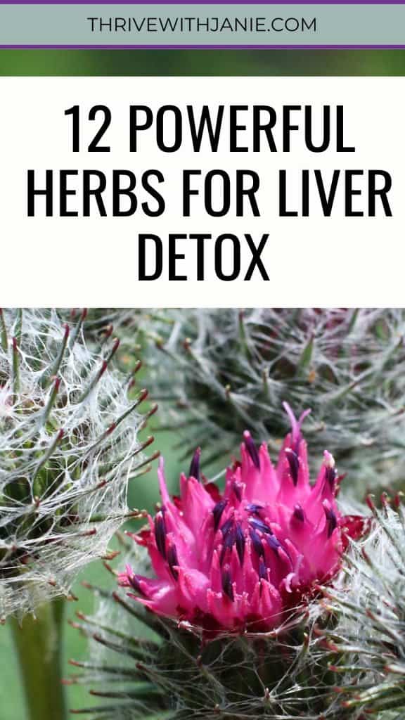 best herbs for liver detox