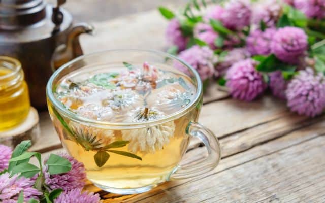 Bes tea for menopause 3