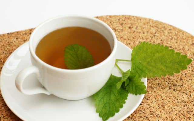 Best tea for menopause