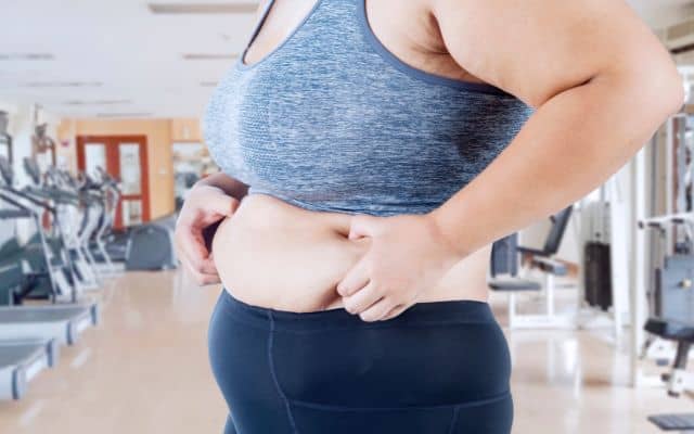 hormonal belly fat 2