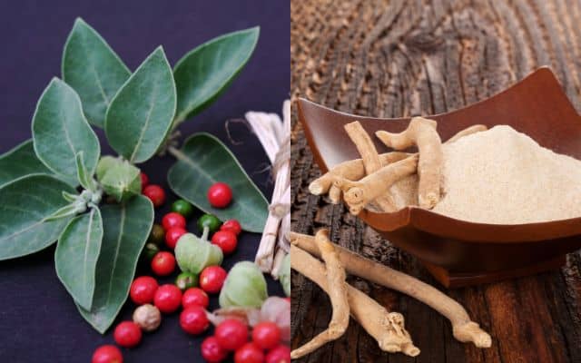 Best supplements to lower cortisol