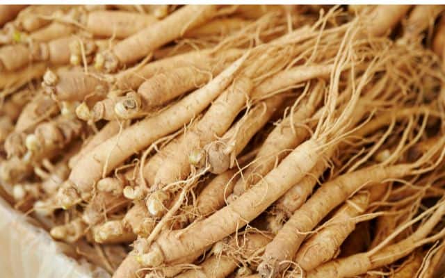 supplements that lower cortisol