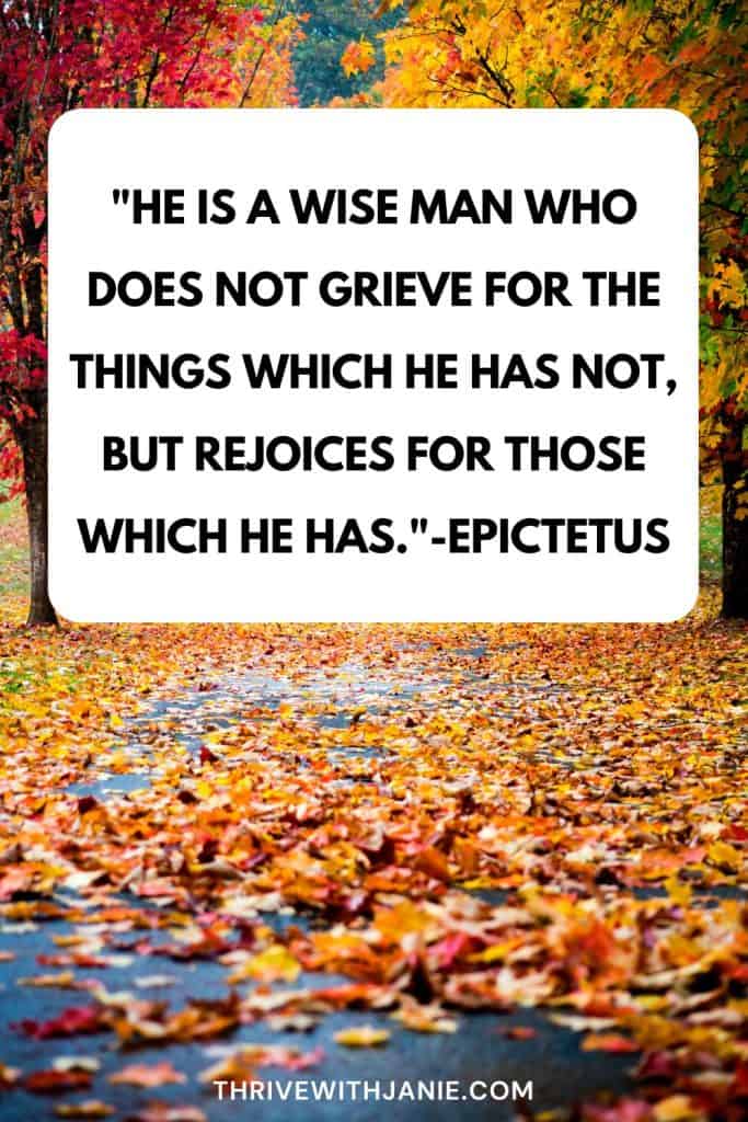 Inspiring gratitude quotes 3