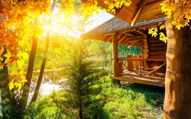 30 days gratitude challenge 1