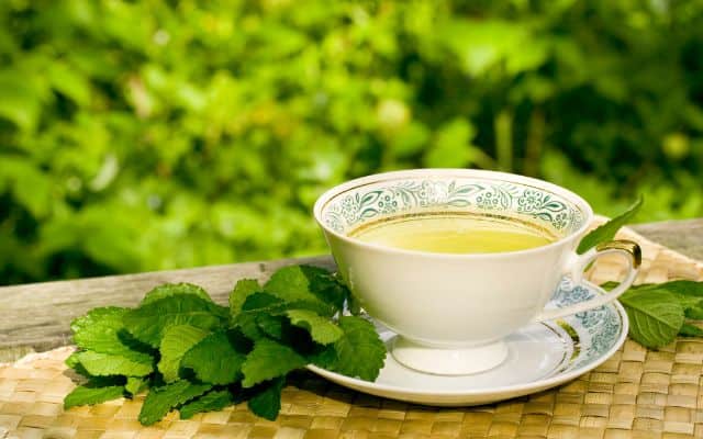 the best bedtime teas