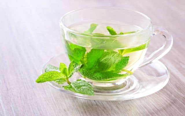 Best immune boosting tea