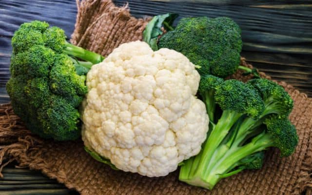 estrogen dominance diet