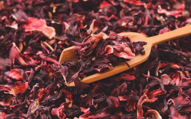 hibiscus benefits