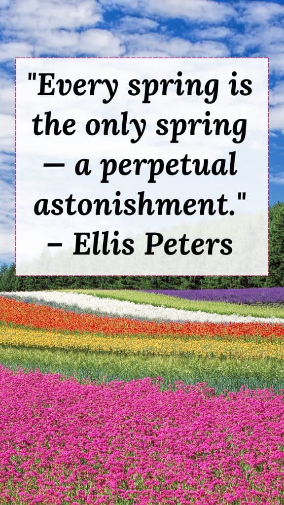 Spring quotes 2