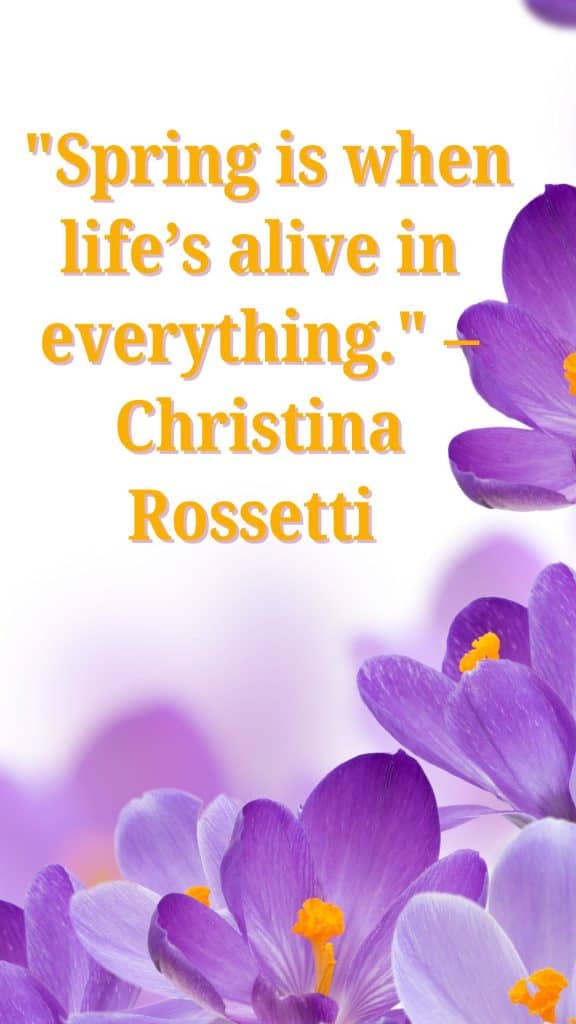 Spring quotes 4