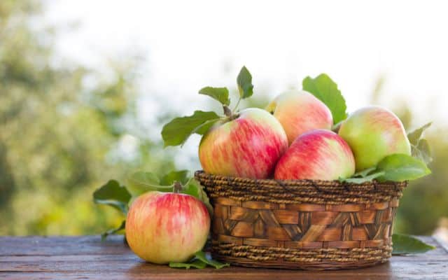 blood pressure lowering foods 7