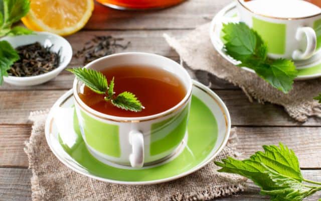 stinging nettle benefits 10