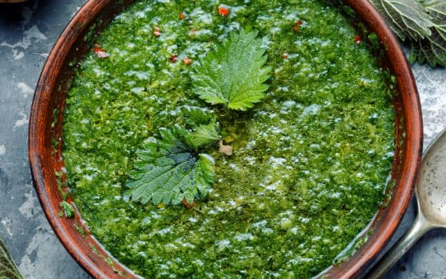 stinging nettle benefits 2