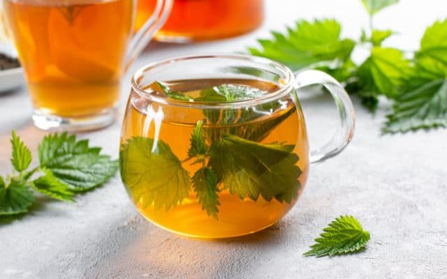 stinging nettle benefits 3