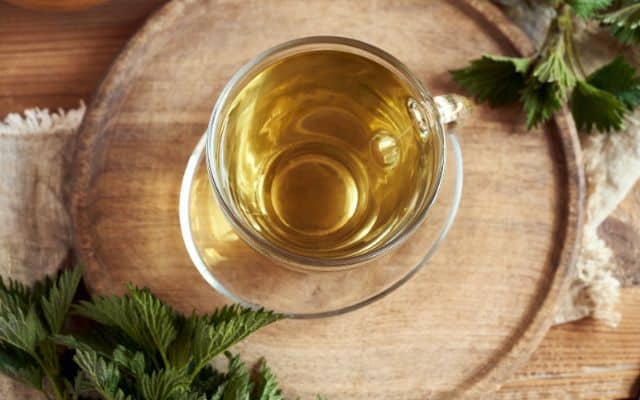 stinging nettle benefits 8