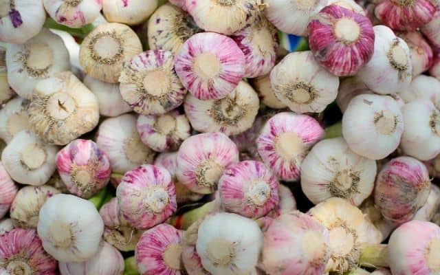 herbsfor blood pressure