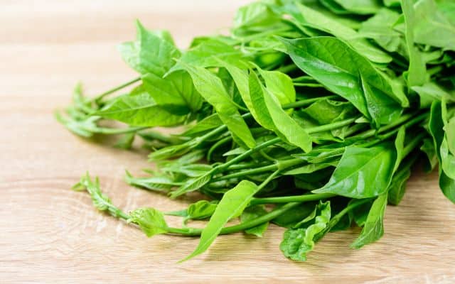 best herbs for blood sugar 3