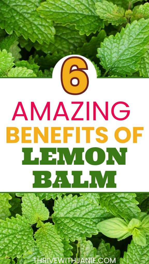 lemon balm benefits