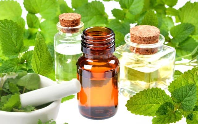 benefits of lemon balam