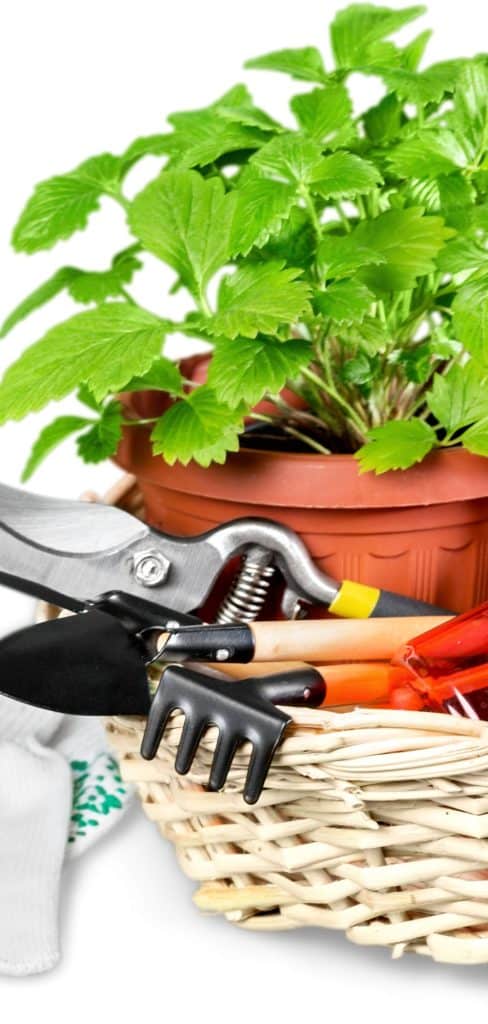 gift basket ideas for women