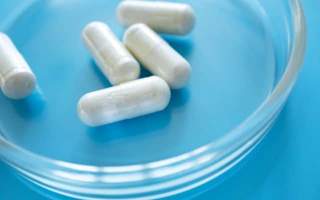 gut health supplements