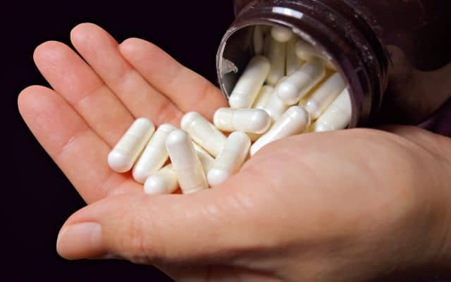 gut health supplements