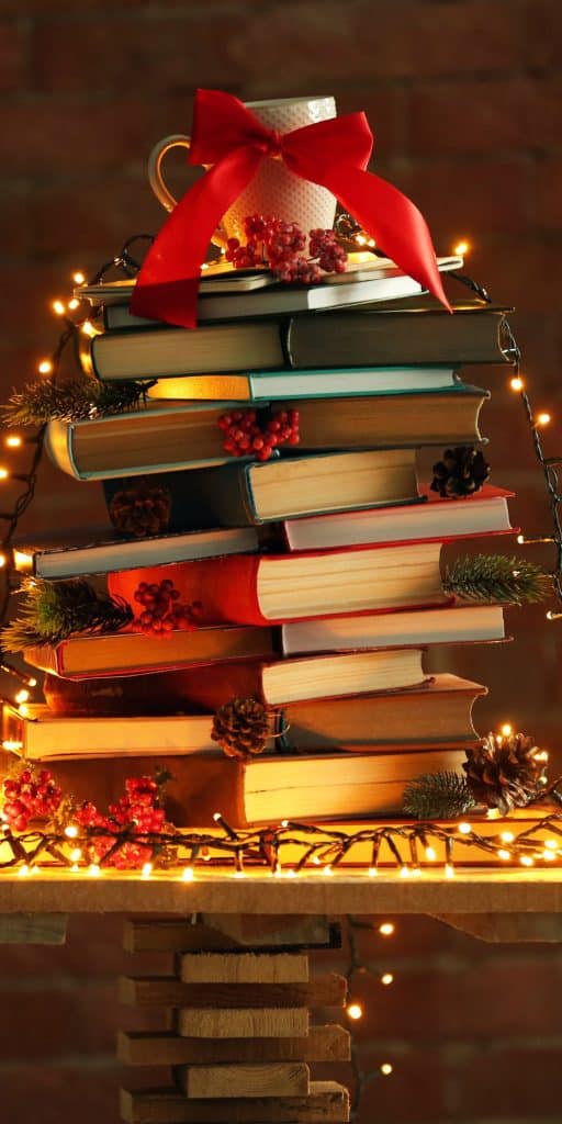 christmas books for adults