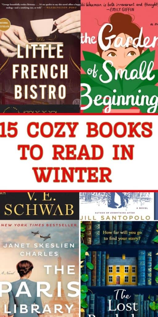 Cozy winter books